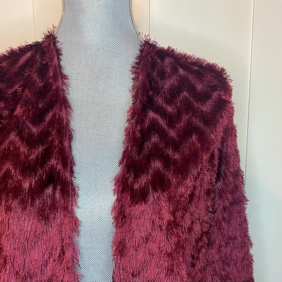 H&M Fuzzy Maroon Jacket - Picture 3 of 6